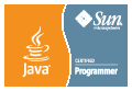 Sun Certified Java Programmer